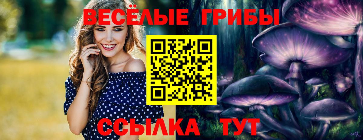 Галлюциногенные грибы ЛСД  Вход с VPN  Лобня  Галлюциногенные грибы Magic Shrooms 
